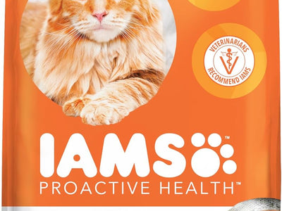 Cat Food