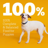Pedigree Puppy Dry Dog Food, Grilled Steak & Vegetable, 3.5-lb