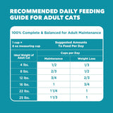 IAMS Proactive Health Indoor Dry Cat Food, Chicken & Turkey, 3.5-lb