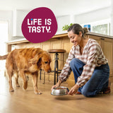 Kibbles 'n Bits Dry Dog Food, Savory Bacon & Steak Flavor, 3.5-lb Bag