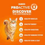 IAMS Proactive Health Healthy Adult Dry Cat Food, Salmon, 3.5-lb